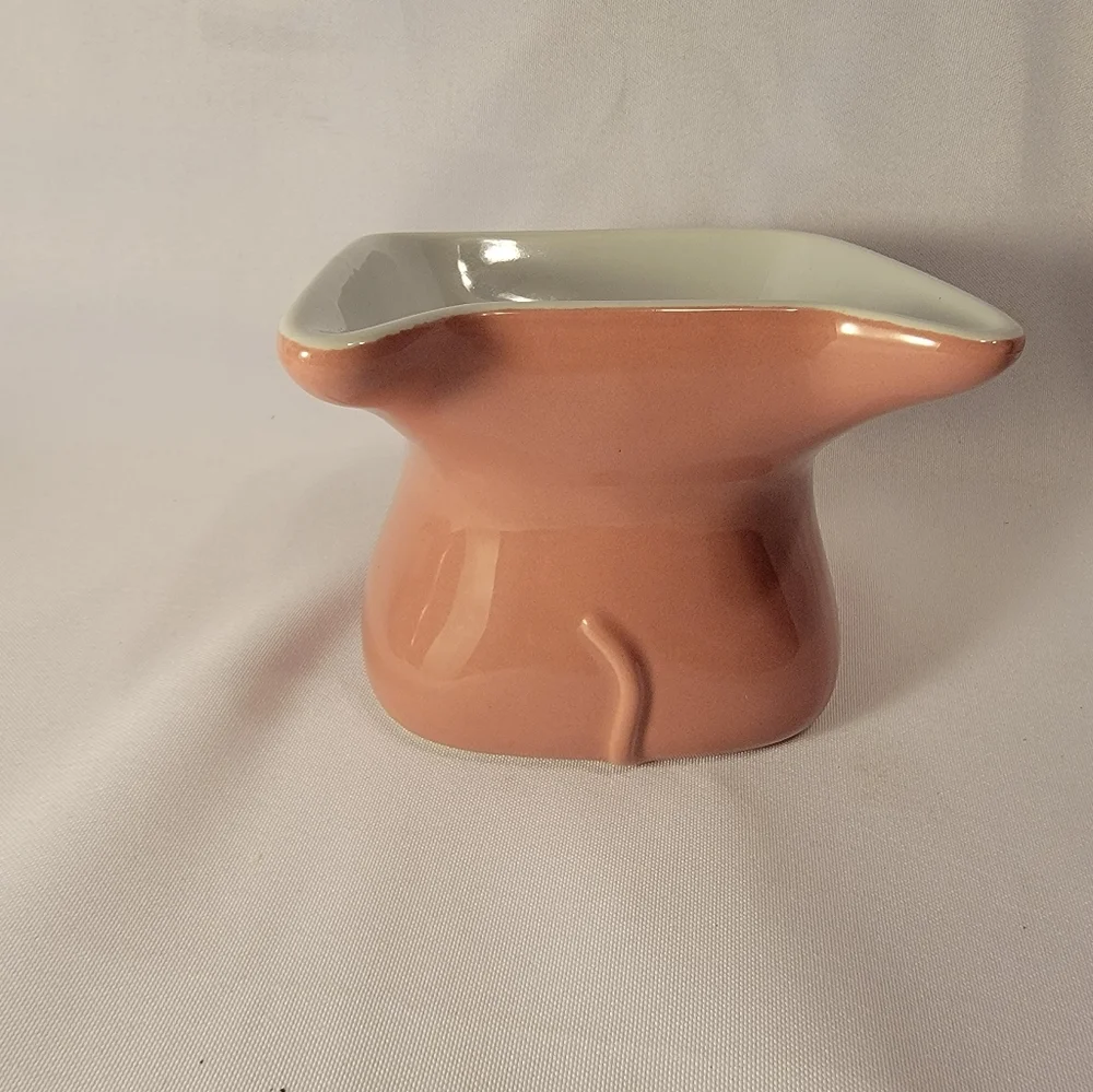 Elevated Pink Cat Dish by Whisker city